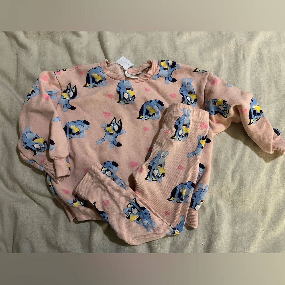 Zara Kids Pink and Blue Matching Set